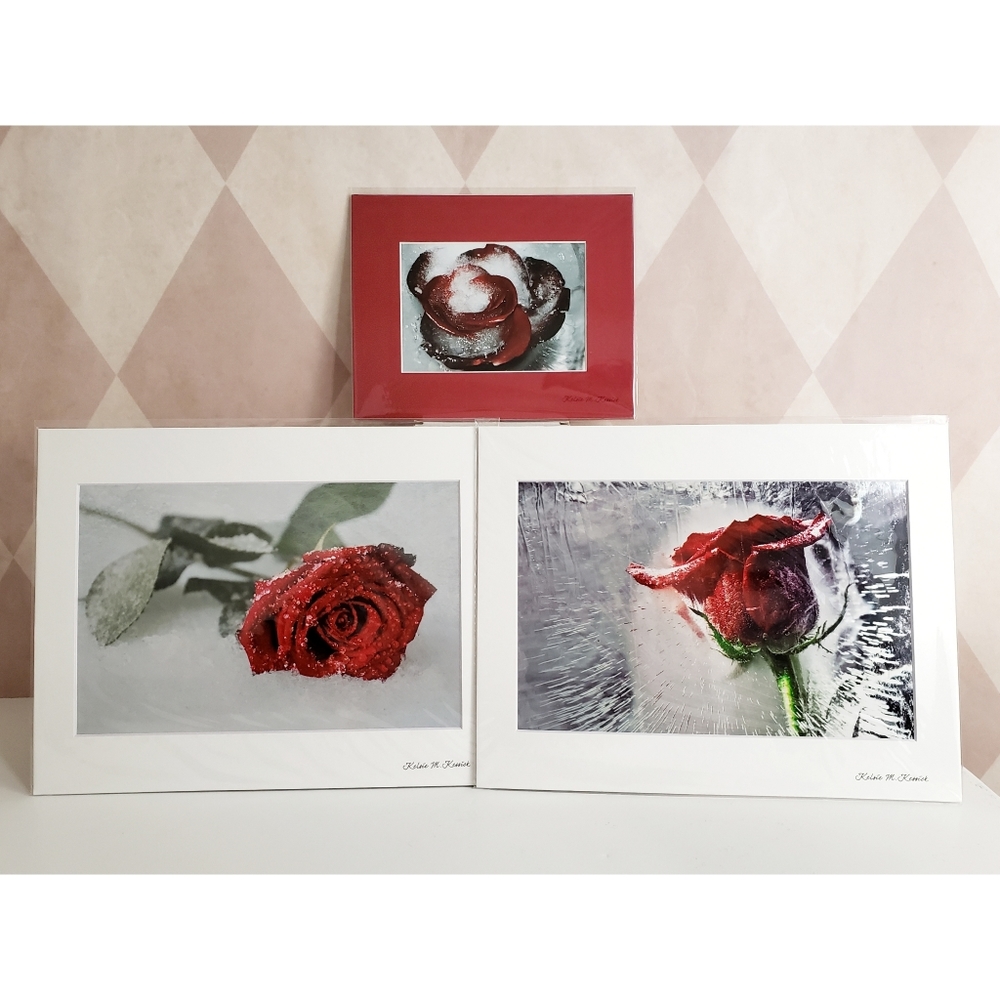 Ice Rose Photography Prints